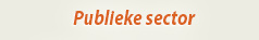 publieke sector